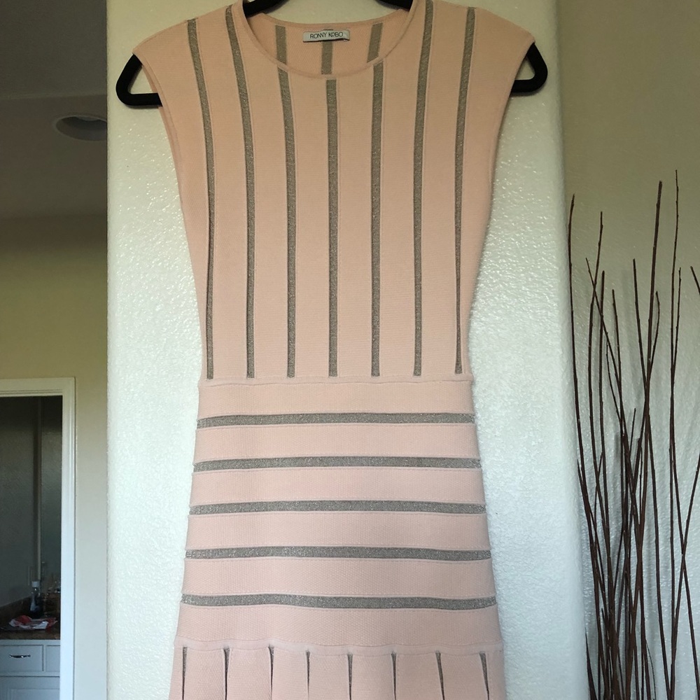 Ronny Kobo Dress